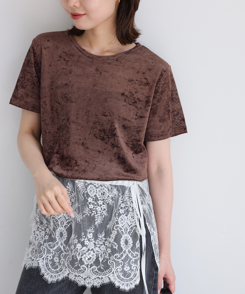 SLOBE IENA(スローブイエナ)の「メッシュベロアプルオーバー(Tシャツ/カットソー・レディース・ブラック/アイボリー/ブラウン・FREE)」の1枚目の写真