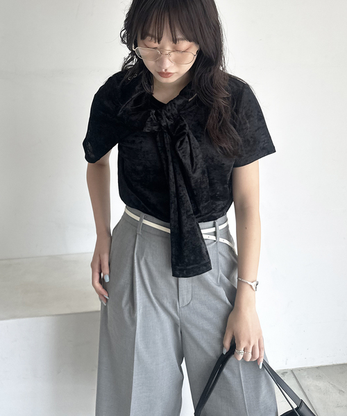 SLOBE IENA(スローブイエナ)の「メッシュベロアプルオーバー(Tシャツ/カットソー・レディース・ブラック/アイボリー/ブラウン・FREE)」の3枚目の写真