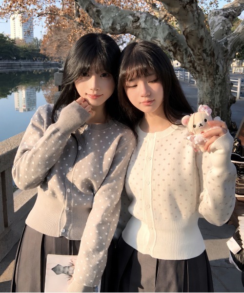 ViViDAY(ビビデー)の「フロントワンちゃん刺しゅう ドット柄ショートニットカーデガン(カーディガン/ボレロ・レディース・グレー/ホワイト・M)」の1枚目の写真