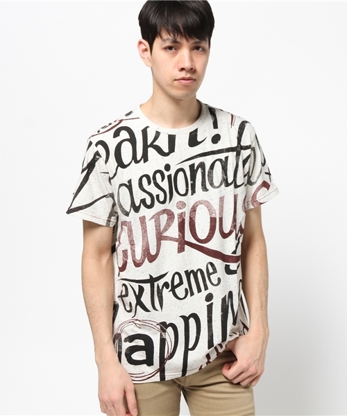 Desigual(デシグアル)の「「Desigual/デシグアル」グラフィカルTシャツ(Tシャツ/カットソー・メンズ・ブルー系その他/ホワイト系その他・LARGE/SMALL/MEDIUM/X-LARGE)」の2枚目の写真