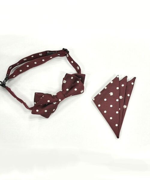 COMME CA ISM(コムサイズム)の「リンゴドット 蝶タイ・スカーフセット(蝶ネクタイ・キッズ・ネイビー/ボルドー/グリーン・FREE)」の13枚目の写真