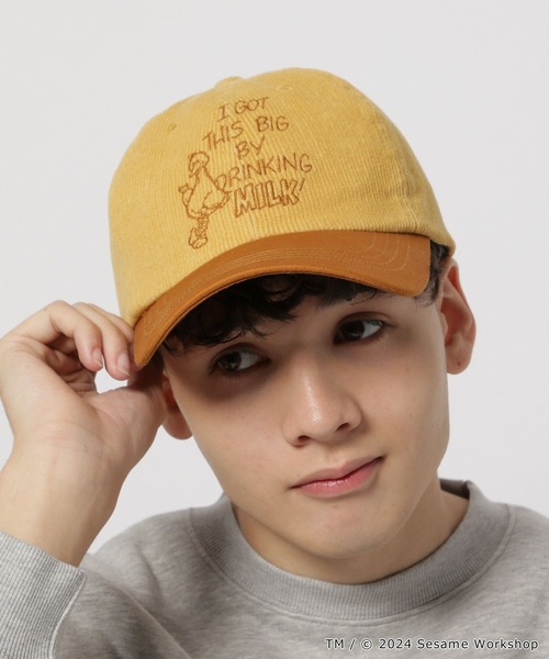 niko and...(ニコアンド)の「【SESAME STREET(セサミストリート)】コラボ 配色キャップ(キャップ・レディース・イエロー/ベージュ/グレー・FREE)」の14枚目の写真