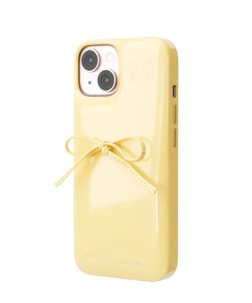 iPhoneケース THE SOAP CASE iPhone17 17Pro iPhone16 16Pro 15