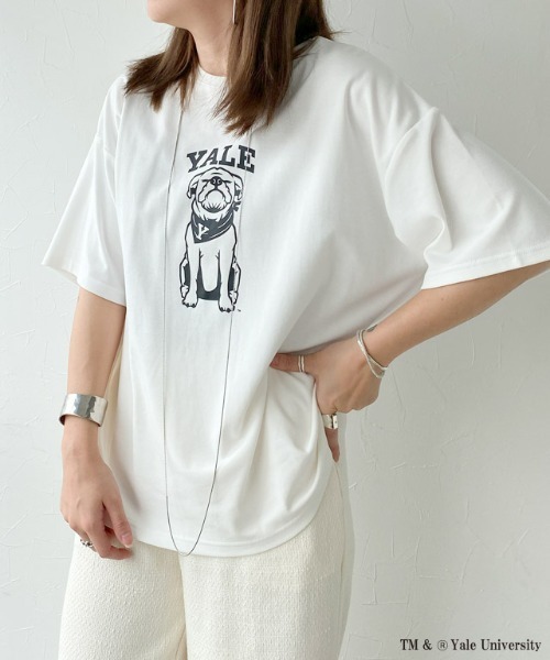 RASW(ラス)の「別注YALEドッグオーバーTシャツ(Tシャツ/カットソー・レディース・オフホワイト・L/M)」の10枚目の写真