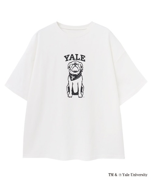 RASW(ラス)の「別注YALEドッグオーバーTシャツ(Tシャツ/カットソー・レディース・オフホワイト・L/M)」の12枚目の写真
