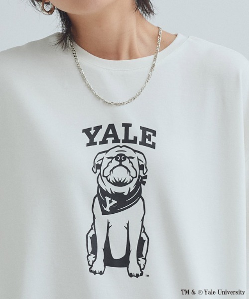 RASW(ラス)の「別注YALEドッグオーバーTシャツ(Tシャツ/カットソー・レディース・オフホワイト・L/M)」の13枚目の写真
