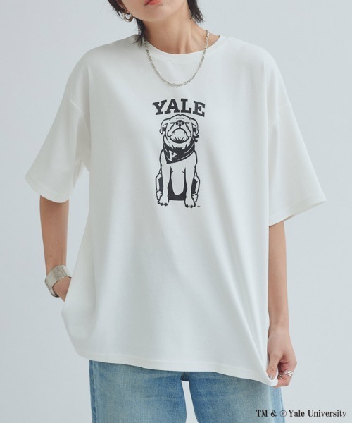 RASW(ラス)の「別注YALEドッグオーバーTシャツ(Tシャツ/カットソー・レディース・オフホワイト・L/M)」の14枚目の写真