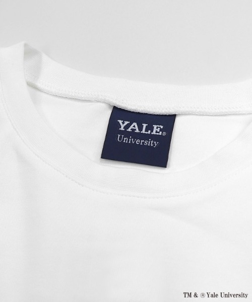 RASW(ラス)の「別注YALEドッグオーバーTシャツ(Tシャツ/カットソー・レディース・オフホワイト・L/M)」の17枚目の写真