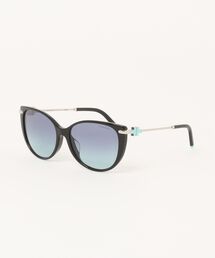 ティファニー/TIFFANY&Co.】オーバル サングラス TF4188D 80013C