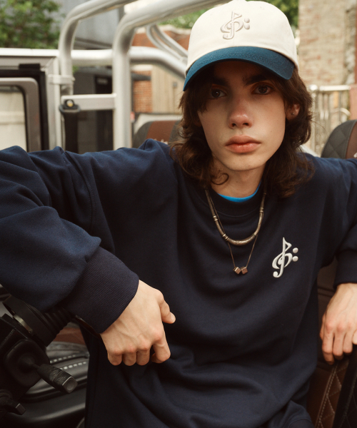 d*7様 ライコウ&スイクン LEGEND 160 HP