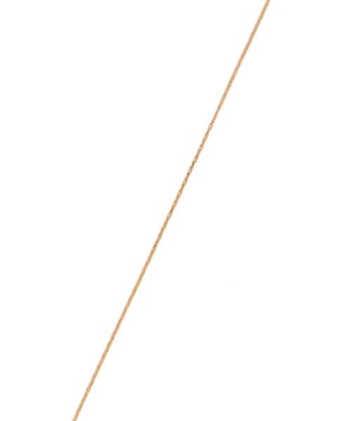 EMODA(エモダ)の「モチーフチャームネックレス(ネックレス・レディース・シルバー/ゴールド・FREE)」の13枚目の写真