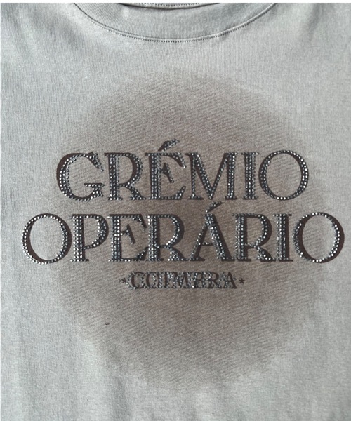 SHAGGIE(シャギー)の「ラメプリントクルーネックTEEシャツ(Tシャツ/カットソー・レディース・ホワイト/ブラウン/レッド/ピンク・FREE)」の12枚目の写真