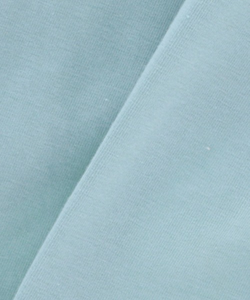 BEAMS DESIGN（ビームス デザイン）の「BEAMS DESIGN/スタンダードシャツ小型犬サイズ（ペットウェア・メンズ・ピンク/グリーン系その他/ブルー・2M/3L/2L/L/M/S/XS/3M）」の16枚目の写真