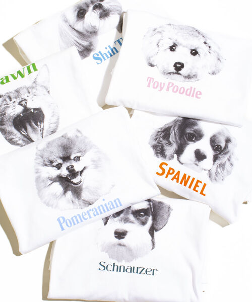 GLOSTER(グロスター)の「《WEB限定サイズあり》《23SS新柄追加!!》【GLOSTER/グロスター】DOG&CAT 犬猫プリントロンT(Tシャツ/カットソー・メンズ・ホワイト系その他/ホワイト系その他2/ホワイト系その他3/ホワイト系その他4/ホワイト系その他5/ホワイト系その他6・S/M/L/XL)」の19枚目の写真