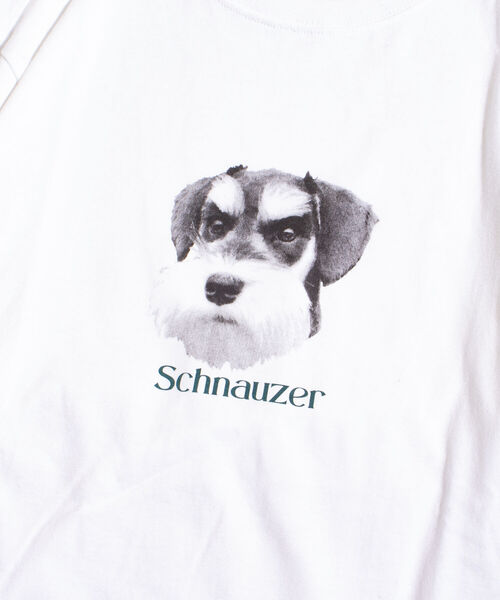GLOSTER(グロスター)の「《WEB限定サイズあり》《23SS新柄追加!!》【GLOSTER/グロスター】DOG&CAT 犬猫プリントロンT(Tシャツ/カットソー・メンズ・ホワイト系その他/ホワイト系その他2/ホワイト系その他3/ホワイト系その他4/ホワイト系その他5/ホワイト系その他6・S/M/L/XL)」の22枚目の写真