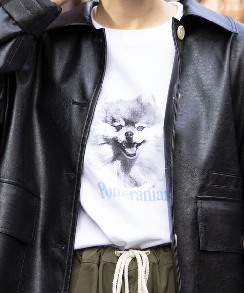 GLOSTER(グロスター)の「《WEB限定サイズあり》《23SS新柄追加!!》【GLOSTER/グロスター】DOG&CAT 犬猫プリントロンT(Tシャツ/カットソー・メンズ・ホワイト系その他/ホワイト系その他2/ホワイト系その他3/ホワイト系その他4/ホワイト系その他5/ホワイト系その他6・S/M/L/XL)」の10枚目の写真