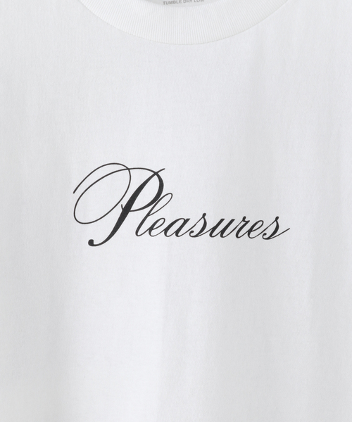 PLEASURES（プレジャー）の「【PLEASURES / プレジャー】STACK T-SHIRT（Tシャツ/カットソー・メンズ・ホワイト/ブラック/ブラウン・MEDIUM/LARGE）」の18枚目の写真