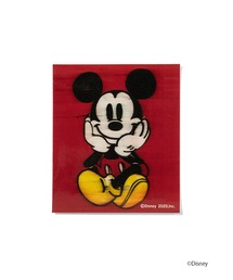 Disney(fBYj[)̃XebJ[(XebJ[/e[v)