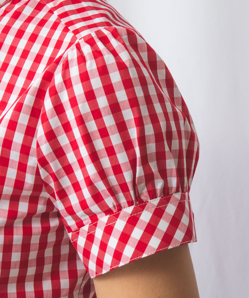 NARACAMICIE(ナラカミーチェ)の「【NARACAMICIE】スモールギンガムフリル半袖シャツ(シャツ/ブラウス・レディース・レッド/ブラック・L/XL/S/M)」の7枚目の写真