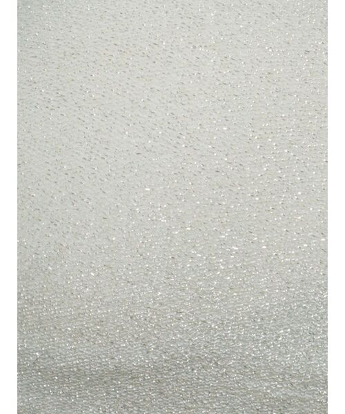 GYDA(ジェイダ)の「GLITTER Booster ブラトップ(ブラジャー・レディース・ブラック/オフホワイト・FREE)」の16枚目の写真