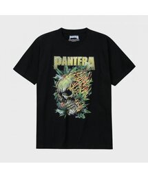 PANTERA Skull Flames (BRENT2297)
