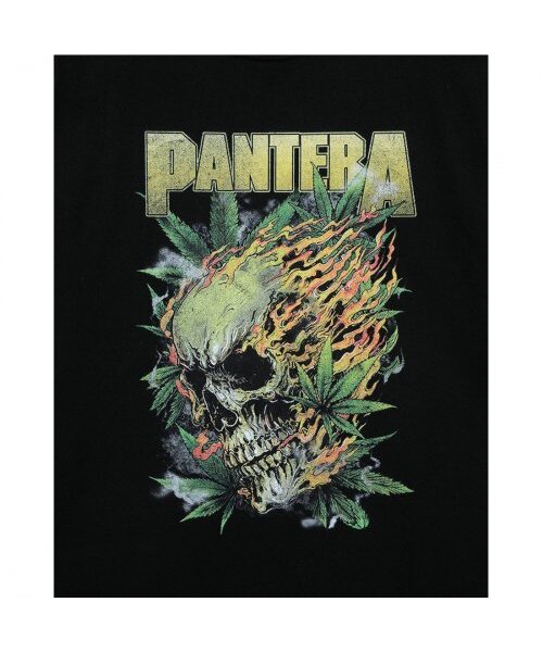 Bravado(ブラヴァド)の「PANTERA Skull Flames (BRENT2297)(Tシャツ/カットソー・メンズ・その他・M/L/XL/XXL)」の9枚目の写真