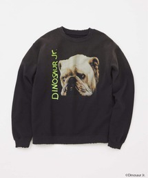 JOURNAL STANDARD（ジャーナルスタンダード）の「DINOSAUR Jr. / ダイナソー Jr. プリントスウェット（スウェット）」