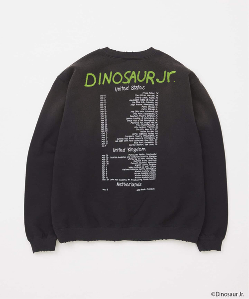 JOURNAL STANDARD（ジャーナルスタンダード）の「DINOSAUR Jr. / ダイナソー Jr. プリントスウェット（スウェット・メンズ・ブラック系その他/ブラック/パープル/イエロー/ホワイト・MEDIUM/LARGE）」の7枚目の写真