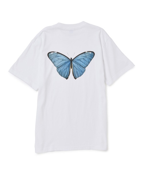 Immunity Butterfly Tee (霜降りグレー）M SHEER GAUZE HALF SLEEVE TEE – Shinzone