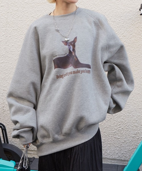 w closet（ダブルクローゼット）の「アニマルプリント起毛プルオーバー（スウェット・レディース・ベージュ系その他/ピンク/グレー/グレー系その他/オートミール・FREE）」の3枚目の写真