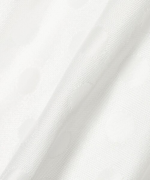UNITED ARROWS(ユナイテッドアローズ)の「シアー ドット パフ ブラウス ‐ウォッシャブル‐(シャツ/ブラウス・レディース・ネイビー/ブラック/オフホワイト・FREE)」の22枚目の写真