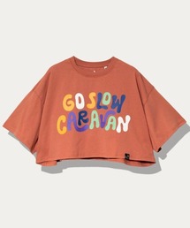 USA/C BIGショートTEE W