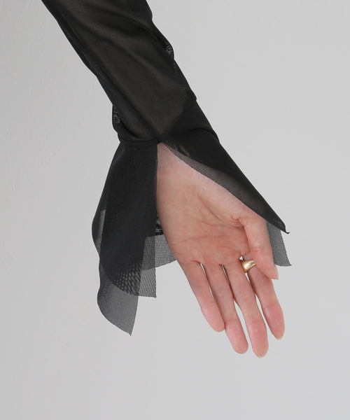 SLOBE IENA（スローブイエナ）の「ラッフルスリーブチュールプルオーバー（Tシャツ/カットソー・レディース・ブラック/ベージュ・FREE）」の9枚目の写真