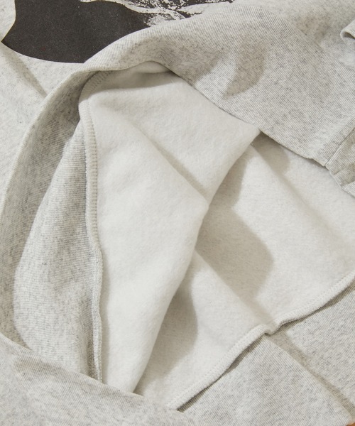 Healthknit(ヘルスニット)の「Healthknit CLASSIC SWEAT L/S BEETHOVEN (54018)(スウェット・メンズ・ヘザーグレー/レッド/マスタード/サンドベージュ・MEDIUM/LARGE/X-LARGE)」の9枚目の写真