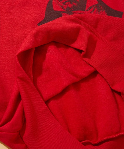 Healthknit(ヘルスニット)の「Healthknit CLASSIC SWEAT L/S BEETHOVEN (54018)(スウェット・メンズ・ヘザーグレー/レッド/マスタード/サンドベージュ・MEDIUM/LARGE/X-LARGE)」の14枚目の写真