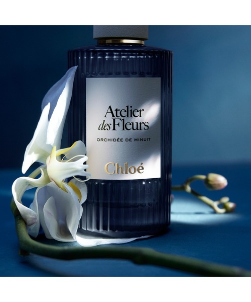 クロエ アトリエ デ フルール オーキッド デ ミニュイ