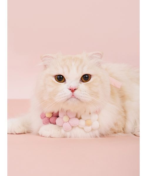 セール】【CAT&DOG】スムーズィーフラワーモチーフチョーカー（リード