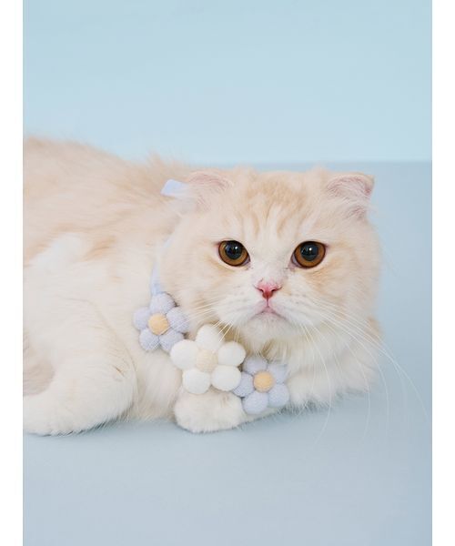 gelato pique（ジェラートピケ）の「【CAT&DOG】スムーズィーフラワーモチーフチョーカー（リード/ハーネス/首輪・レディース・ピンク/ブルー/イエロー・F）」の14枚目の写真