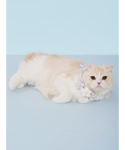gelato pique（ジェラートピケ）の「【CAT&DOG】スムーズィーフラワーモチーフチョーカー（リード/ハーネス/首輪・レディース・ピンク/ブルー/イエロー・F）」の15枚目の写真