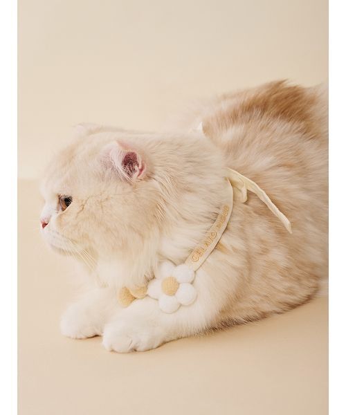 gelato pique（ジェラートピケ）の「【CAT&DOG】スムーズィーフラワーモチーフチョーカー（リード/ハーネス/首輪・レディース・ピンク/ブルー/イエロー・F）」の16枚目の写真