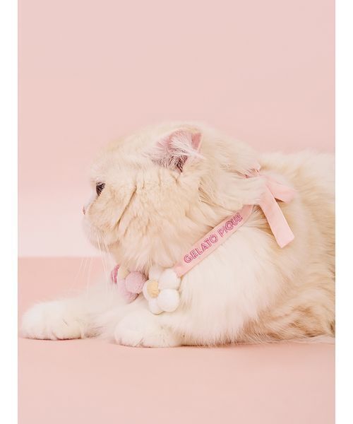 gelato pique（ジェラートピケ）の「【CAT&DOG】スムーズィーフラワーモチーフチョーカー（リード/ハーネス/首輪・レディース・ピンク/ブルー/イエロー・F）」の18枚目の写真