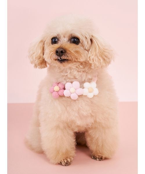 gelato pique（ジェラートピケ）の「【CAT&DOG】スムーズィーフラワーモチーフチョーカー（リード/ハーネス/首輪・レディース・ピンク/ブルー/イエロー・F）」の19枚目の写真