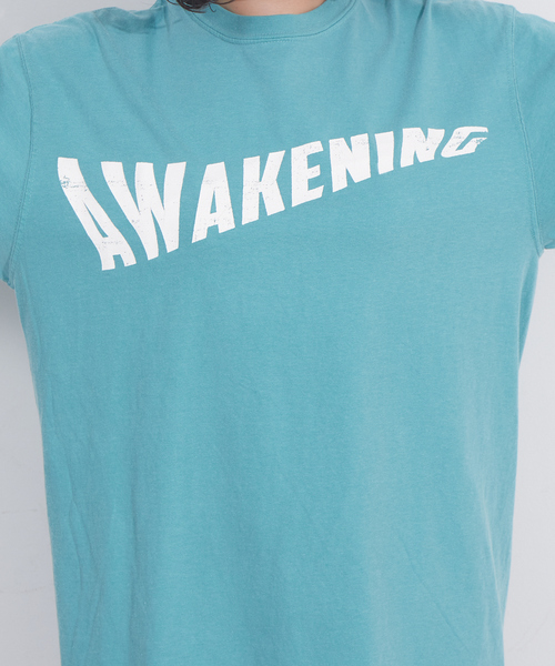 NOMINE（ノミネ）の「ガーメントダイヴィンテージプリントTシャツ（Tシャツ/カットソー・レディース・ホワイト系その他/グリーン系その他/グレー系その他/ホワイト系その他2/グリーン系その他2/グレー系その他2・フリー）」の19枚目の写真