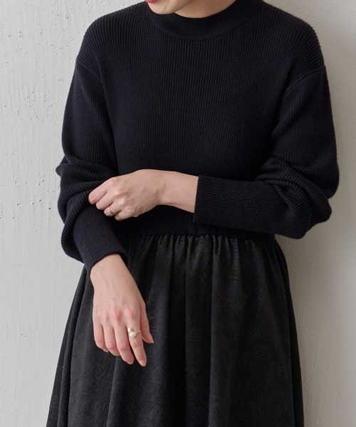 BEARDSLEY（ビアズリー）の「リブニットコンビジャカードワンピース（ワンピース・レディース・ブラック・FREE）」の17枚目の写真