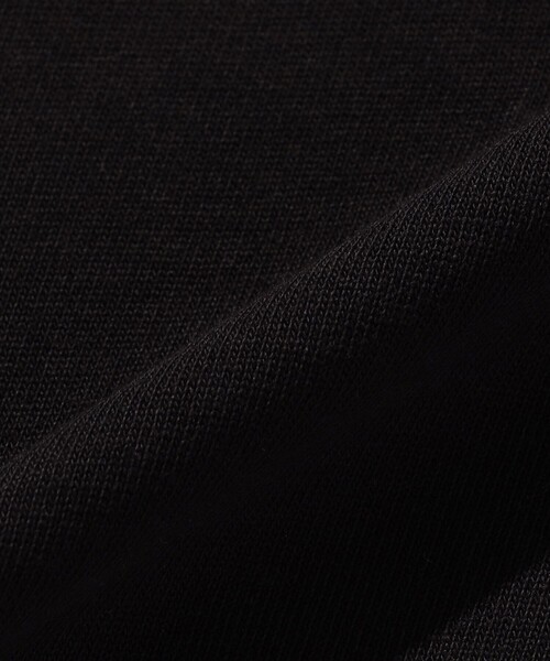 WOOLRICH（ウールリッチ）の「WOOL RICH/ウールリッチ COTTON GRAPHIC LOGO TEE/7オンス コットン グラフィック ロゴ Tシャツ（Tシャツ/カットソー・メンズ・ブラック/ホワイト・MEDIUM/LARGE）」の10枚目の写真