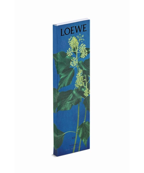 LOEWE Perfumes（ロエベ パルファム）の「ロエベ インセンス アイビー