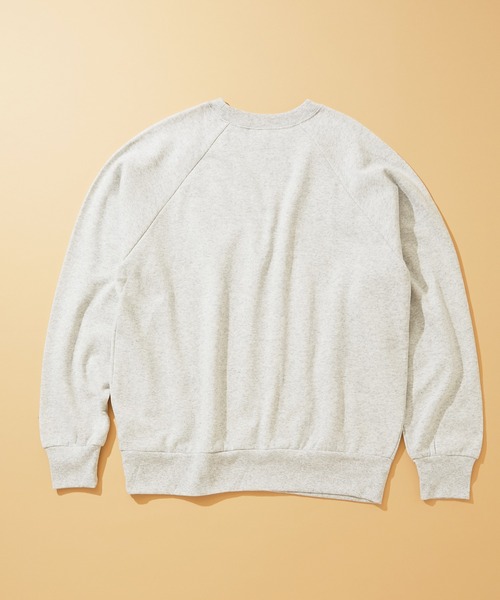 Healthknit CLASSIC SWEAT L/S BRAHMS (54019)（スウェット
