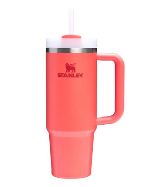 STANLEY(�X�^�����[)��STANLEY/�X�^�����[ H2.0 �^��X�����N�G���`���[ 0.88L 10-10827(����)
