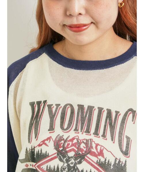 SM2(エスエムツー)の「ラグランスリーブプリントシアーニット(ニット/セーター・レディース・ネイビー/グリーン/ブラウン/ブラック・F)」の17枚目の写真