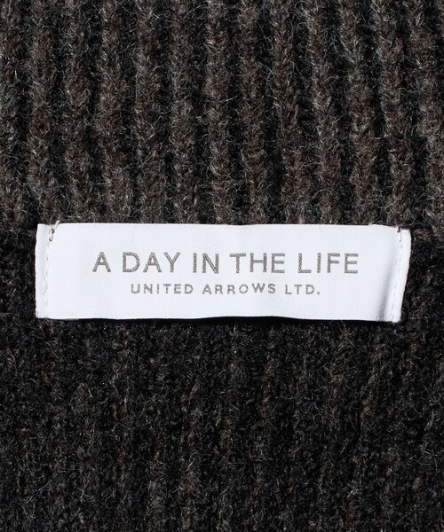 A DAY IN THE LIFE UNITED ARROWS(アデイインザライフユナイテッドアローズ)の「ハーフジップ ニットワンピース ‐ウォッシャブル‐<A DAY IN THE LIFE>(ワンピース・レディース・ナチュラル/ダークブラウン・FREE)」の7枚目の写真